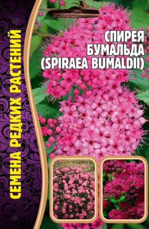 Спирея Бумальда 0,01г (Ред.сем)