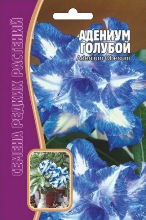 Адениум Голубой 3шт (Ред.сем)